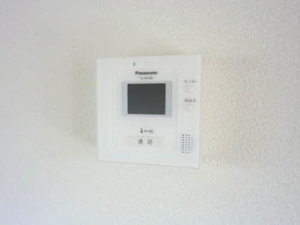 ペニーレイン 47 B0201号-6