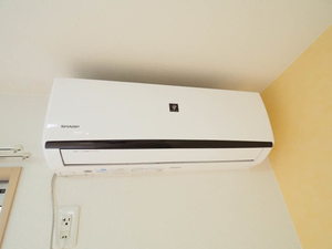 エクセレント　＊ A0102号-13