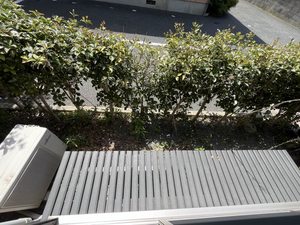 咲ら坂Ｈｉ　Ｉ棟　＊＊ I0101号-13