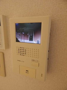 ＳＫ茜　＊ A0102号-9