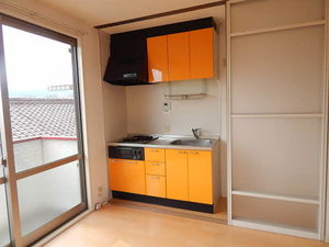 ディアスＹＮ A0201号-3