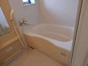 ディアスＹＮ A0201号-4