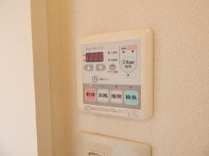 ディアスＹＮ A0201号-5