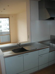 イル　リッシュ　Ⅳ棟　＊ D0201号-11