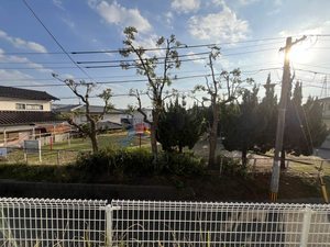 ヒルズ龍化 B棟 ** B0101号-6