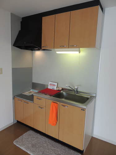 Ｓｈａ　Ｍａｉｓｏｎ　Ｋ　＊ A0202号-3