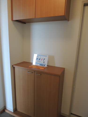 Ｓｈａ　Ｍａｉｓｏｎ　Ｋ　＊ A0202号-11