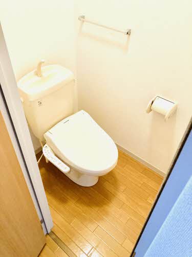 ディアス・リー * A0202号-5