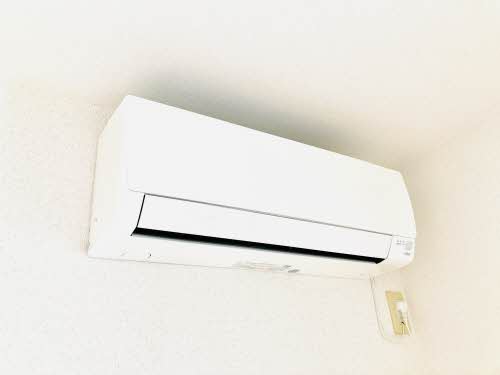 ディアス・リー * A0202号-7