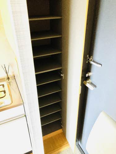 ディアス・リー * A0202号-11