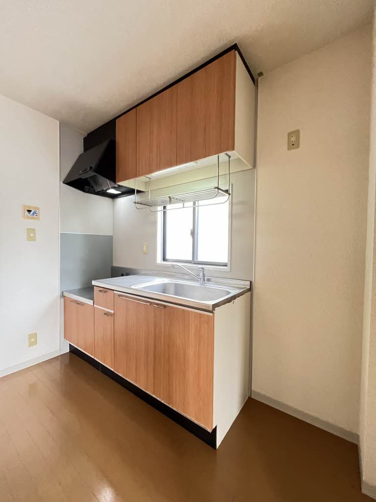 ロータス・Ⅰ * A0101号-3