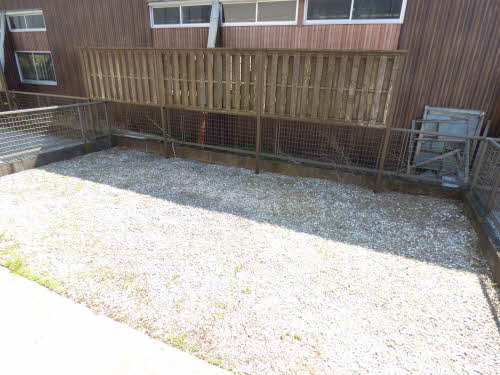 ｖｅｇａｓ１ A0103号-12