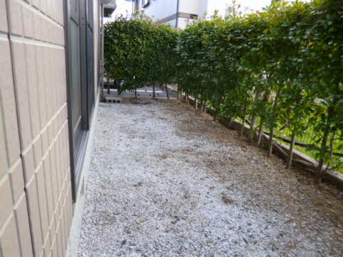 シャーメゾン中曽根 A棟 ** A0101号-13