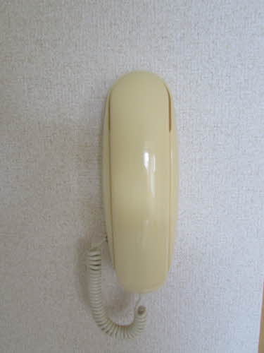 カメリアタウン　壱番館　＊ A0101号-9