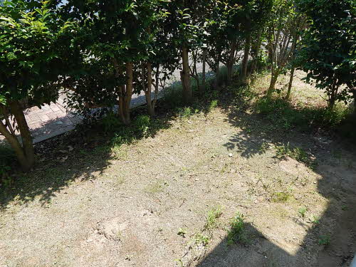 セフィーラ中村　Ｂ棟　＊＊ B0101号-12