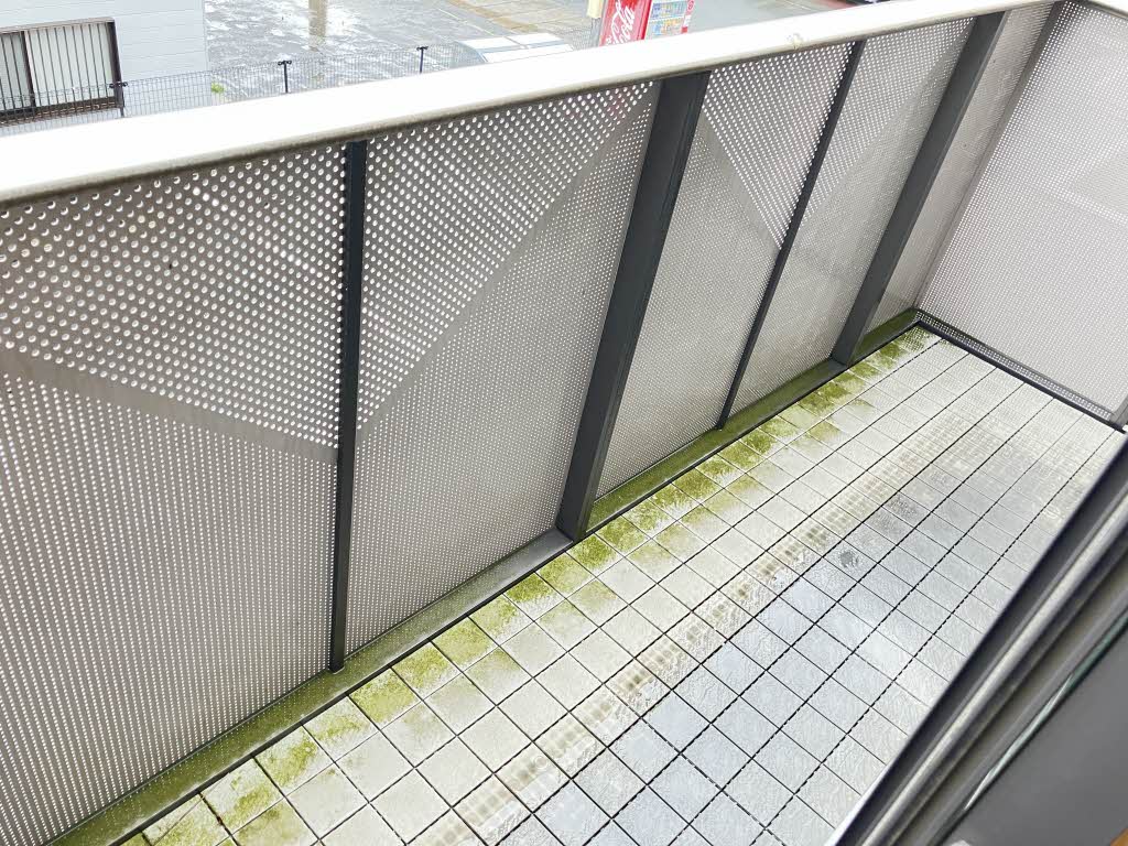 トルー・ハート　＊ A0202号-13