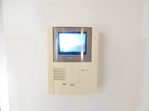 ウェストテイルショウ　＊ A0105号-11