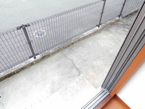 ウェストテイルショウ　＊ A0105号-12