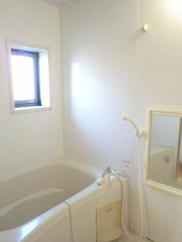 柊　＊♯ A0102号-9