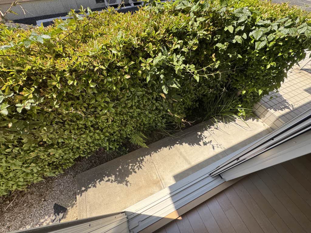 メゾン・ド・カメリア　Ｅ棟　＊ E0102号-15