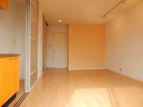 ディアスＹＮ A0201号-2