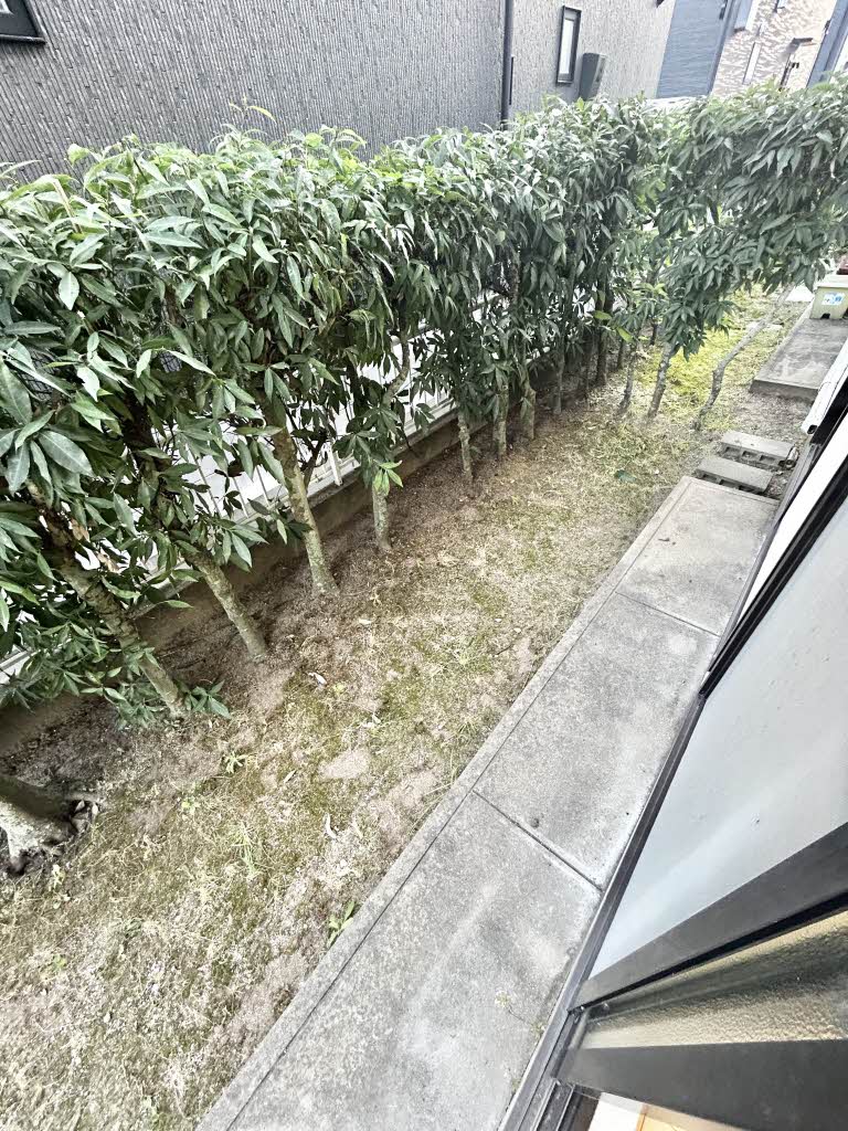 パストラル町田　Ｄ棟　＊＊ D0105号-12