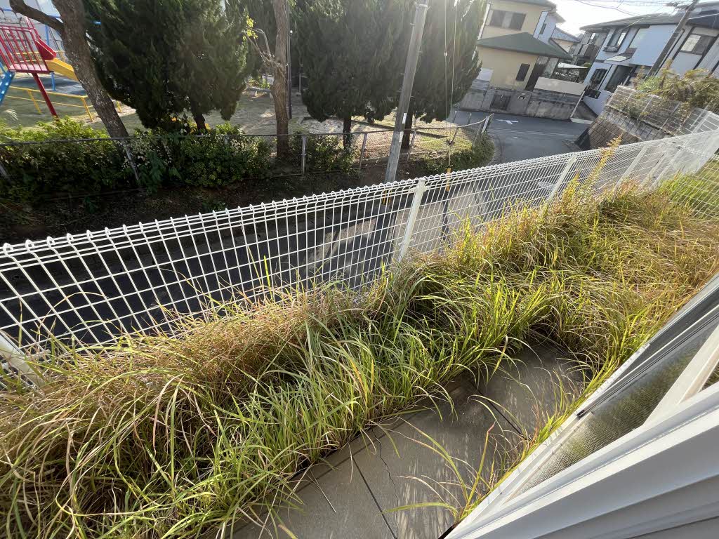 ヒルズ龍化 B棟 ** B0101号-5