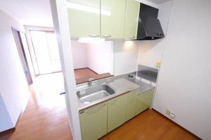 エーデルハイムＣＨＩＹＯ　＊＊ A0203号-3