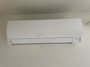 ラフォーレ栄　Ａ棟　＊＊ A0201号-12