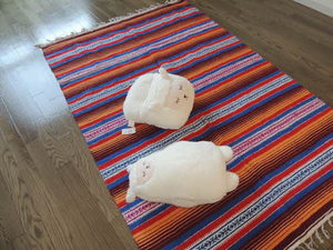 メゾンドマモール　＊＊ A0106号-3