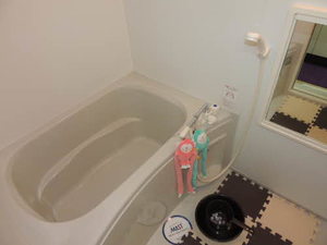 メゾンドマモール　＊＊ A0206号-8