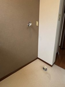 ディアス・オーク　＊ A0101号-6