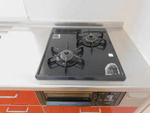 ディアス吉野　Ａ棟 A0202号-15