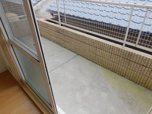 ディアス吉野　Ｃ棟 C0101号-10