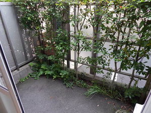 メゾンパリス坂之上　＊ A0105号-13