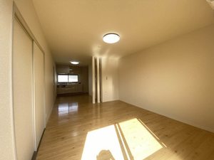 ダイアンサスＫ・Ⅱ　＊＊ B0201号-1