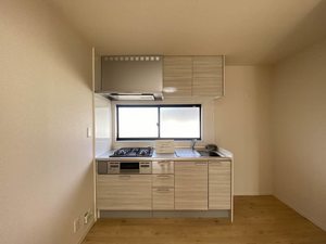 ダイアンサスＫ・Ⅱ　＊＊ B0201号-2