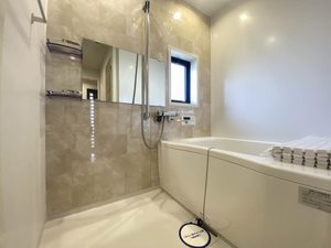 ダイアンサスＫ・Ⅱ　＊＊ B0201号-3