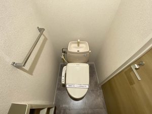 ダイアンサスＫ・Ⅱ　＊＊ B0201号-5