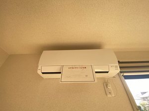 ダイアンサスＫ・Ⅱ　＊＊ B0201号-8