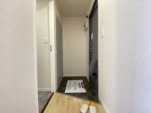 ダイアンサスＫ・Ⅱ　＊＊ B0201号-11