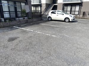 ダイアンサスＫ・Ⅱ　＊＊ B0201号-13