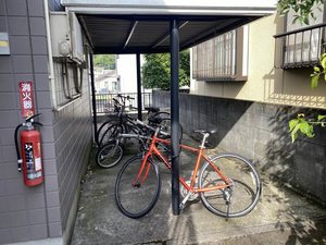 ダイアンサスＫ・Ⅱ　＊＊ B0201号-14