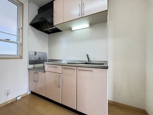 ルーンルディーⅡ　＊＊ A0201号-3