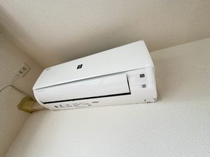 ルーンルディーⅡ　＊＊ A0201号-10