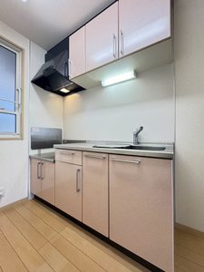 ルーンルディーⅡ ** A0203号-3
