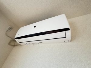 ルーンルディーⅡ ** A0203号-12