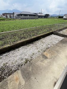 プランドール B棟 ** B0103号-10