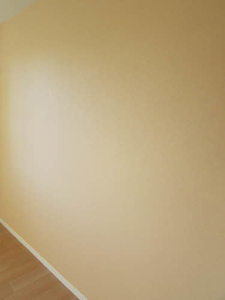 シャーメゾンHIRA A棟 * A0202号-13