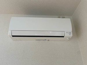 プロスぺリテ皆春 A0201号-9